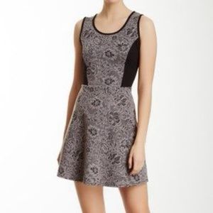 Olive & Oak Jacquard Ponte Dress